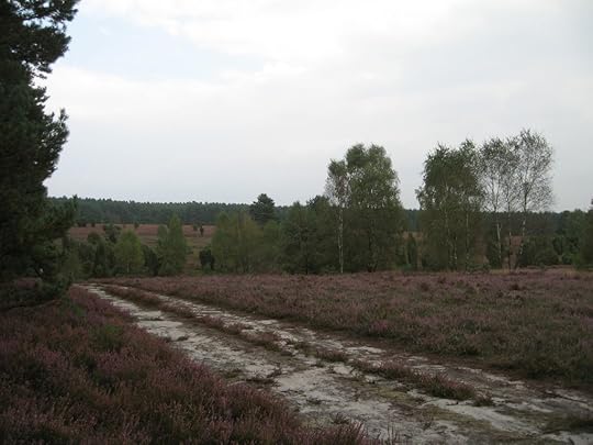 Südheide am Schillohsberg