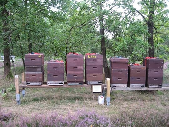 Beehives