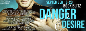 DangerandDesireBlitzBanner