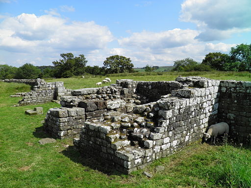 Birdoswald Roman Fort, Hadrians Wall (8751341028)