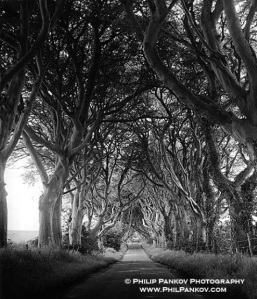 0511291641471the-way