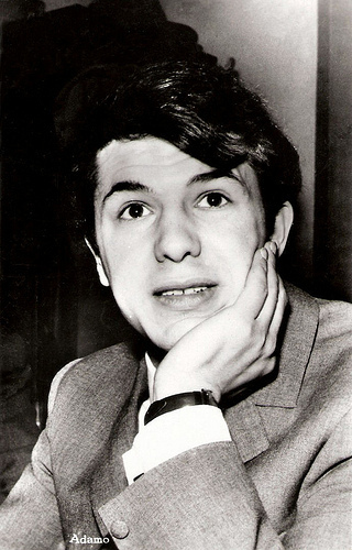Adamo