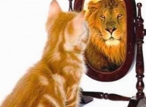 confidence