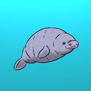 manatee
