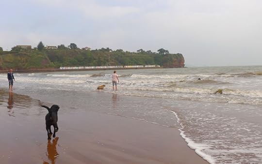 Tor Bay 3