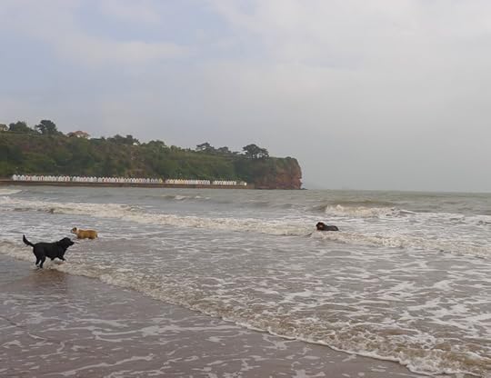 Tor Bay 5