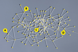 networks_ABCD