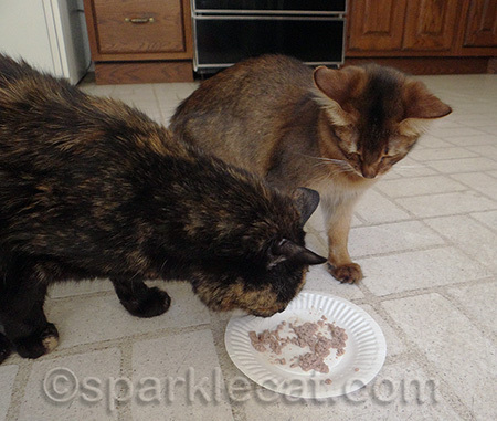 That was supposed to be MY food!
