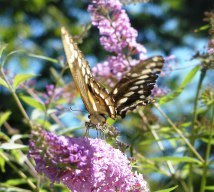 ???????????????????????????????