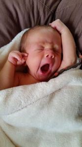 10363839_10203489719434250_8455966170842127776_n