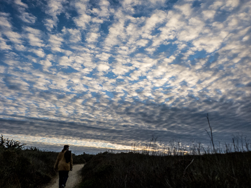 My Husband at Dusk