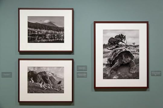 Salgado-9_18-6