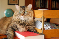 Kel's on top of her reading