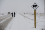 Polar Bear Marathon