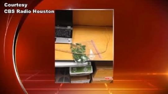 Adrian-Peterson-Switch-9