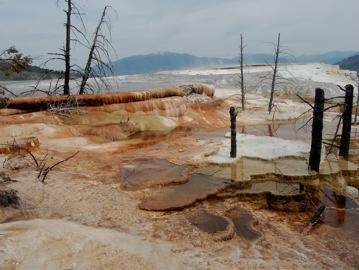 Canary looked like this when I was there in 2009.