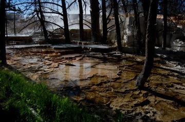 NarrowGgBetter_2009