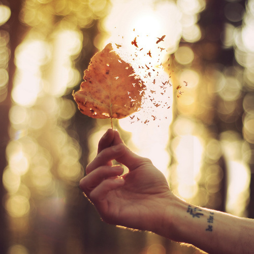 Photo by Joel Robison