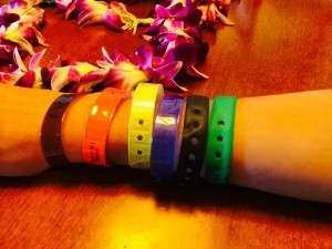 Aulani wristbands