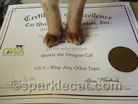 I am covering up my human's name on purpose.