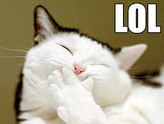 LOLcat