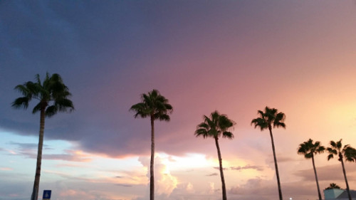 sunset