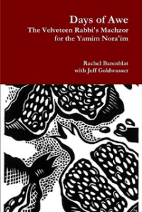 6a00d8341c019953ef01a511d6570c970c-800wi