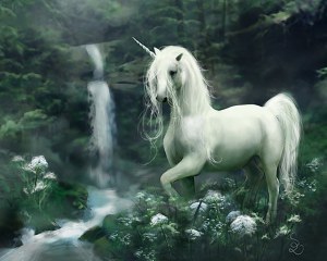 Unicorn httpwww.reddit.comrunicorns