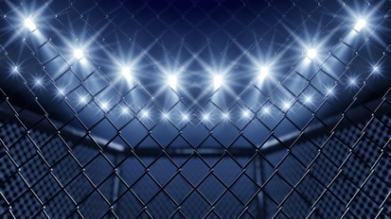 MMA cage