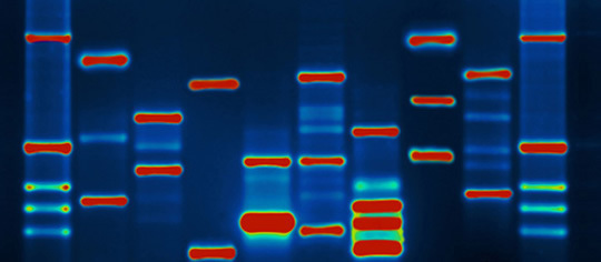 How Memories Can Be Genetically Passed Down Through The Generations