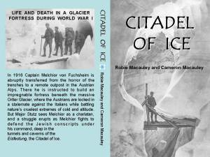 Book cover final