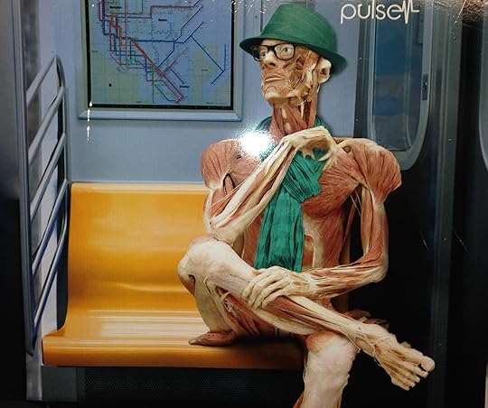 bodyworlds