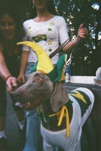 Brazil Supporter