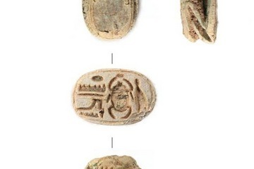 Scarab