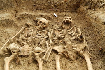 Skeletons holding hands