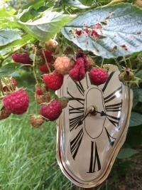 Time and Raspberries