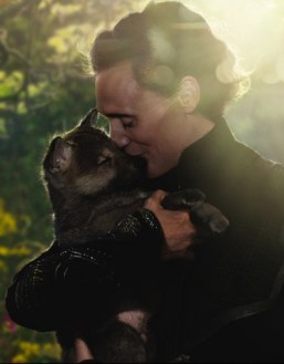 Ahhh, much better. Tom Hiddleston and a puppy...