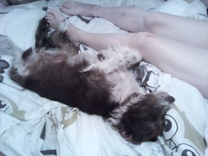 Nurse Lily taking care of Mum