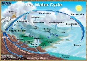 The water cycle