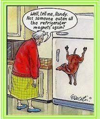 268294_3715508646232_1110609518_n