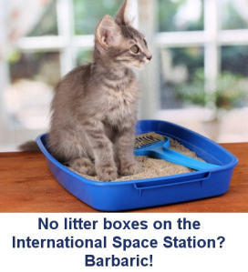 Cat-Litter