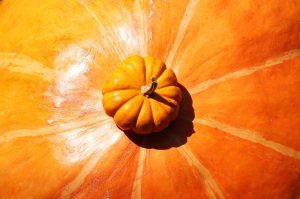 trick_or_treat_by_seastar114-d4ax5ta