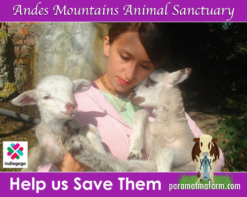 ParamatmaCampaignAds_01