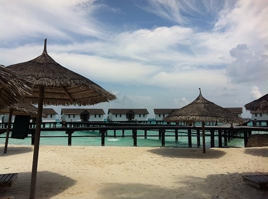 730291_10152353102730627_2064791352_o