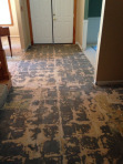 photo (15)