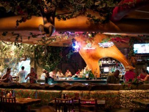 Rainforest Cafe Bar