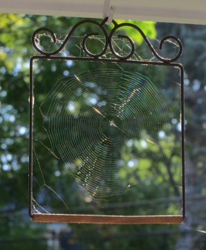 Web