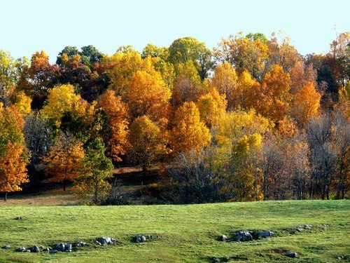 Spectacular Autumn Day!