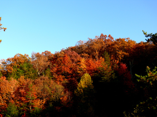 autumn in the Alleghenies