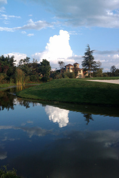 dish_kunminggolf